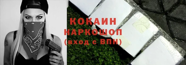стаф Богданович