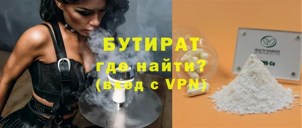 твердый Бородино