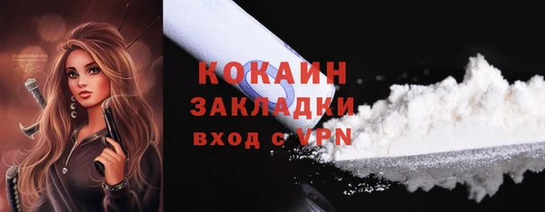 PSILOCYBIN Богородицк