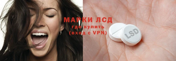 твердый Бородино