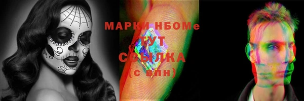 PSILOCYBIN Богородицк