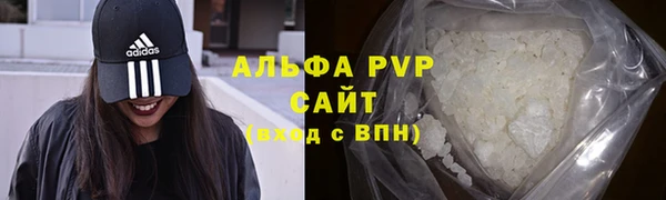 стаф Богданович