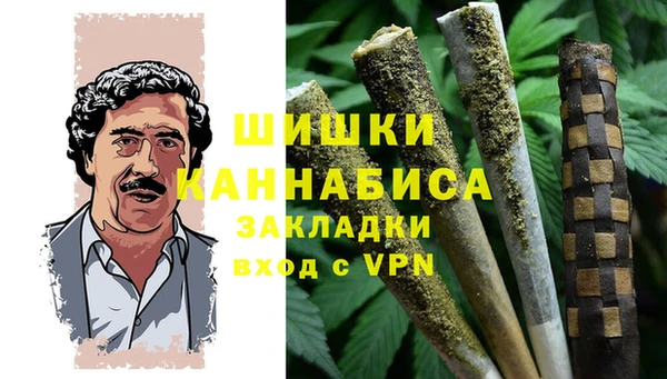 твердый Бородино