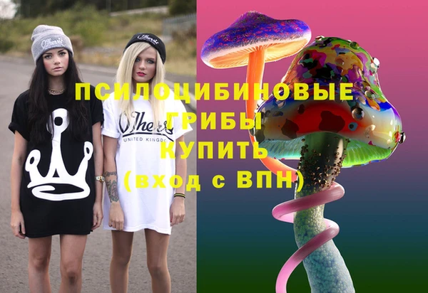 PSILOCYBIN Богородицк