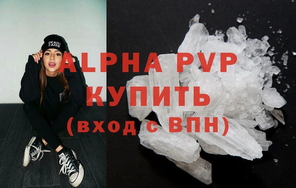 стаф Богданович