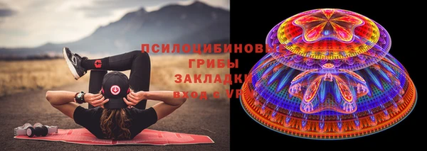 стафф Анива