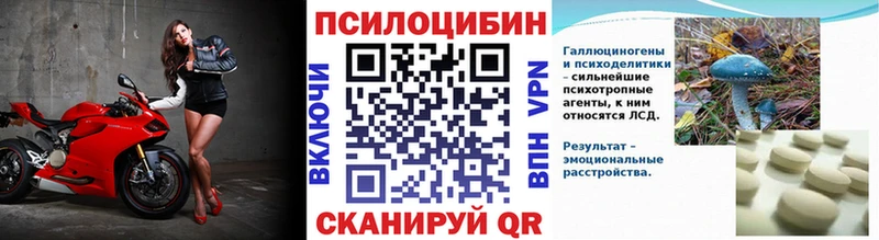гидра рабочий сайт  купить   Великий Устюг  Псилоцибиновые грибы мицелий 